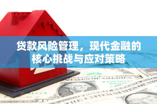 潮安贷款风险管理，现代金融的核心挑战与应对策略