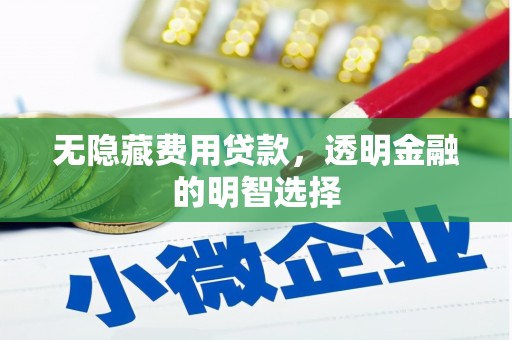潮安无隐藏费用贷款，透明金融的明智选择