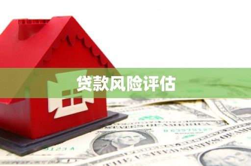 潮安贷款风险评估