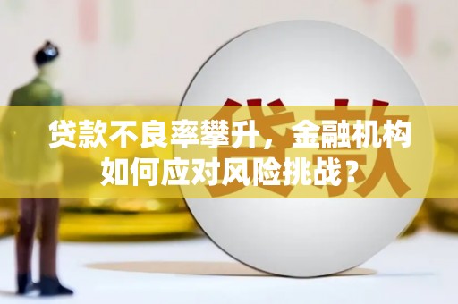 潮安贷款不良率攀升，金融机构如何应对风险挑战？