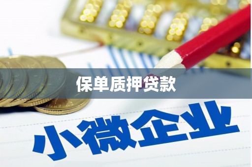 潮安保单质押贷款