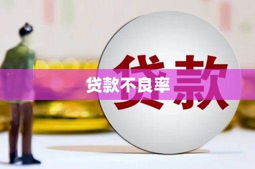 潮安贷款不良率