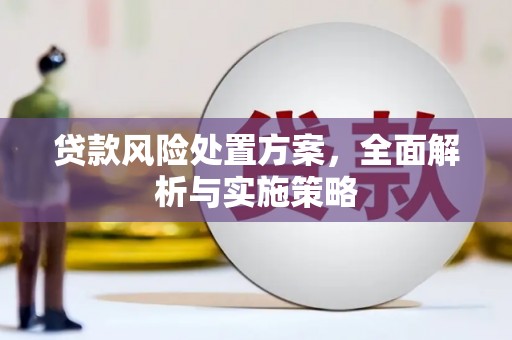 潮安贷款风险处置方案，全面解析与实施策略