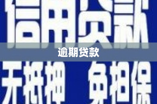潮安逾期贷款