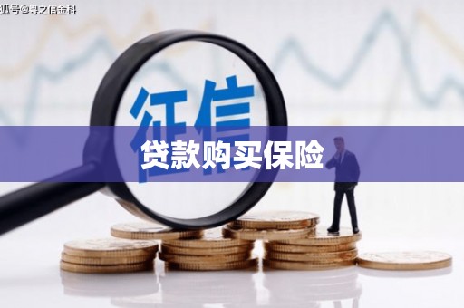 潮安贷款购买保险