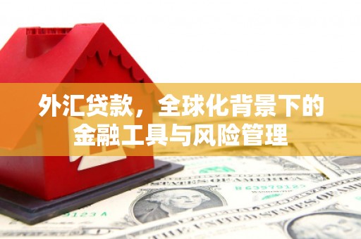 潮安外汇贷款，全球化背景下的金融工具与风险管理