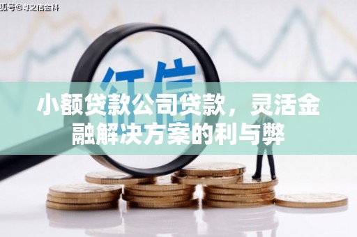 潮安小额贷款公司贷款，灵活金融解决方案的利与弊