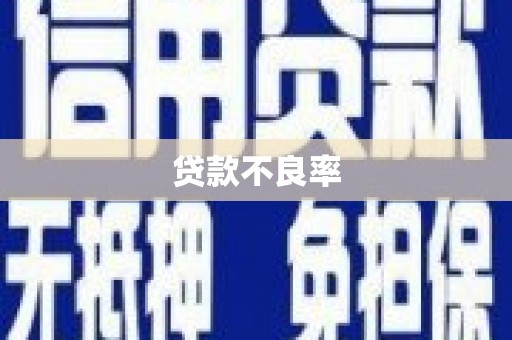 潮安贷款不良率